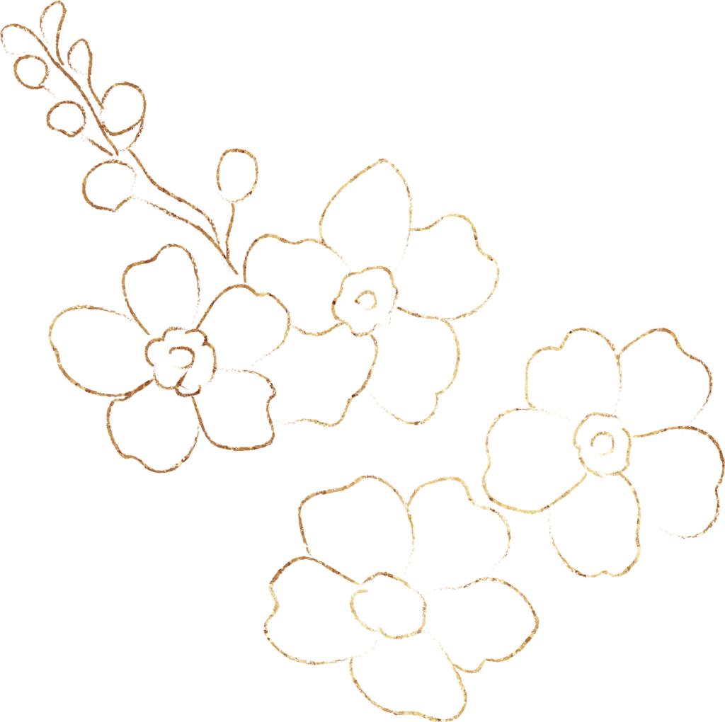 Shop Wildflower Boutique