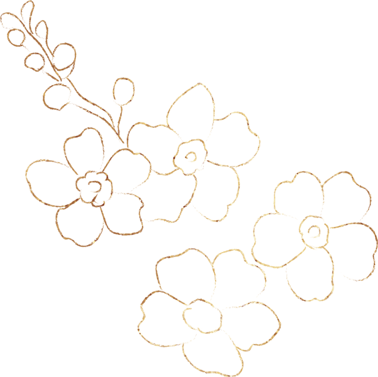 Shop Wildflower Boutique