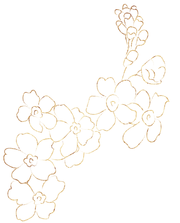 Wildflower Boutique and Connie Sims, Naples Florida